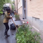 Rabatterna rensades fina från ogräs